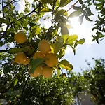 Yourhome - San Valerio סורנטו