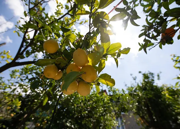 Yourhome - San Valerio Сорренто